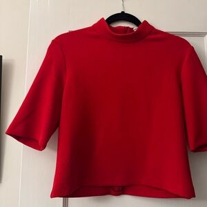 Red Zara Crop Top
